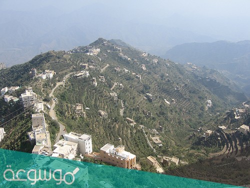 اين تقع فيفا