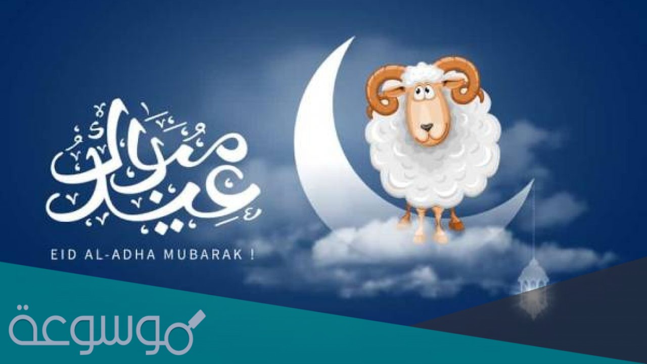 هل يجوز للمضحي مجامعة زوجته في العشر من ذي الحجة