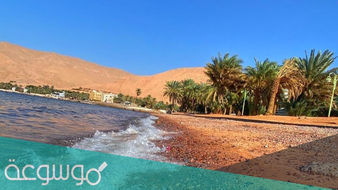 اين يقع شاطئ حقل في السعودية