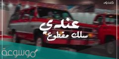 ما طبيعي انا عندي سلك مقطوع كلمات