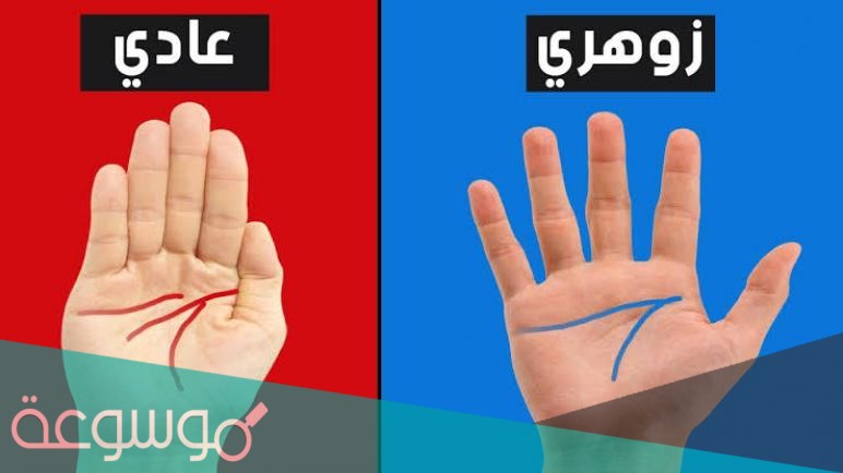 من هو الانسان الزوهري