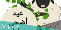 صور كل عام وانتم بخير بمناسبة عيد الاضحى 2022