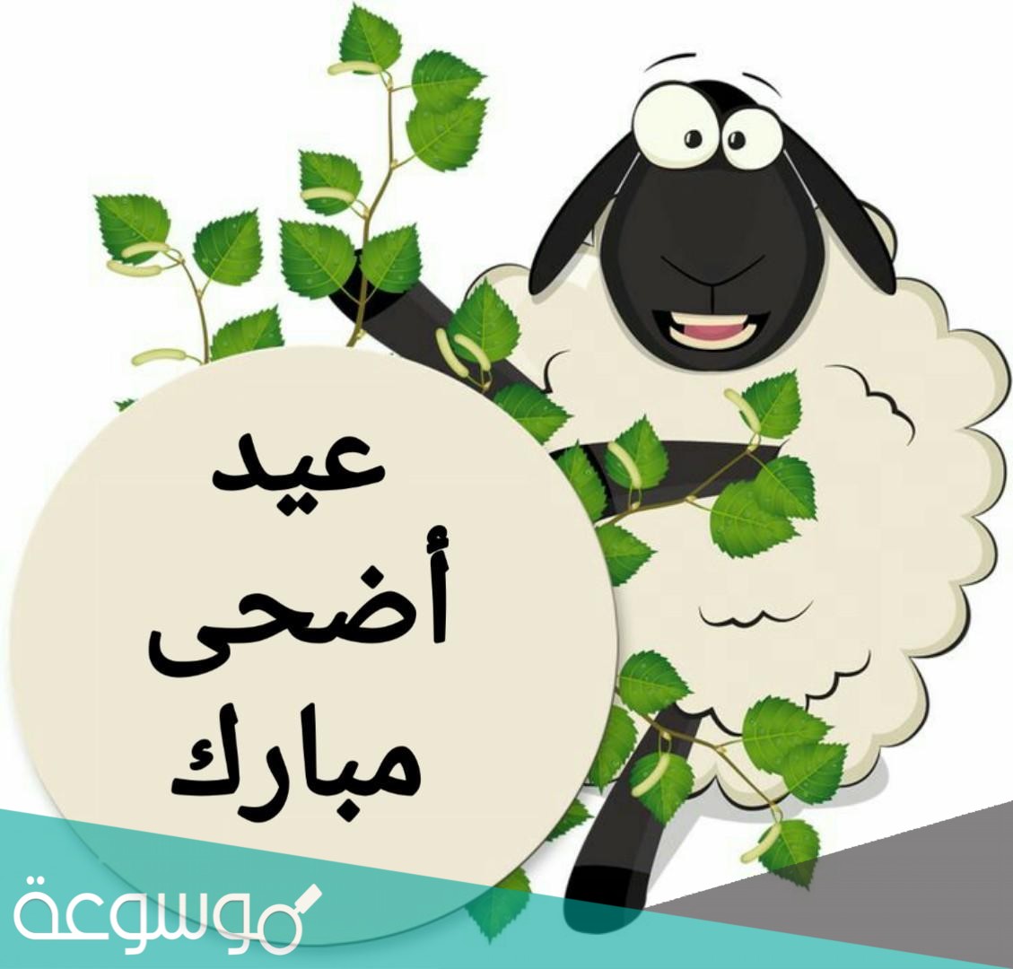 كل عام وانتم بخير