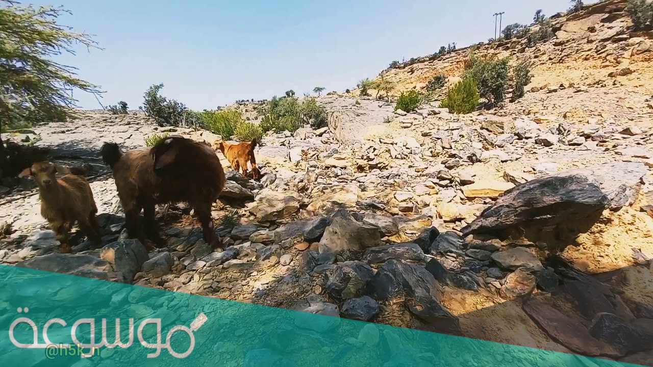 أين يقع جبل هاط