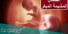ما هي اسباب انفصال المشيمة