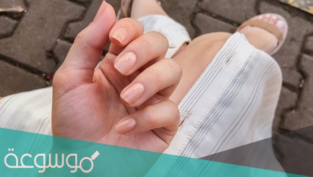 الاصبع في اليد هو كورقة الشجرة ل