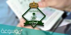 الاستعلام عن صدور تأشيرة خروج وعودة برقم الإقامة فقط