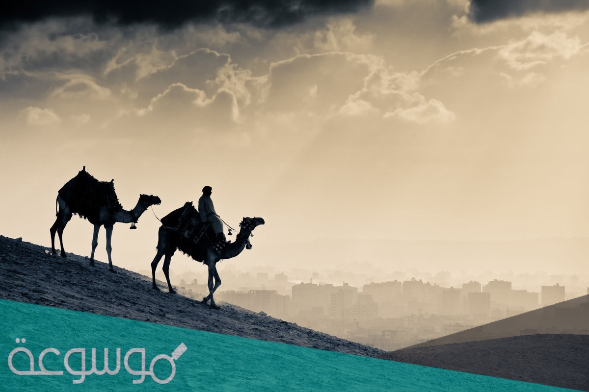 عائلة الانصاري من اي قبيله