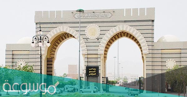 الجامعة الإسلامية بالمدينة المنورة الاستعلام عن الطلب 1442