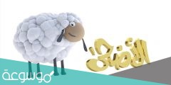 اول ايام عيد الاضحى 2022 .. تعرف على موعد عيد الاضحى بالتحديد 1442