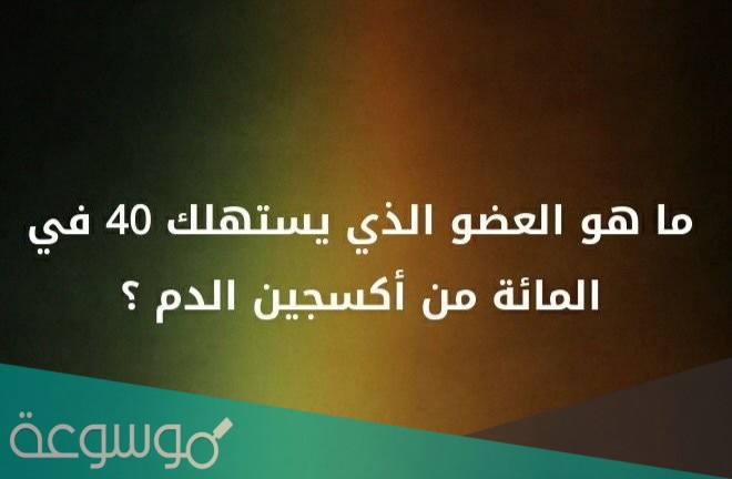 من اعضاء الجسم يستهلك ٤٠ من الدم