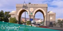 تخصصات الجامعة الإسلامية بالمدينة المنورة