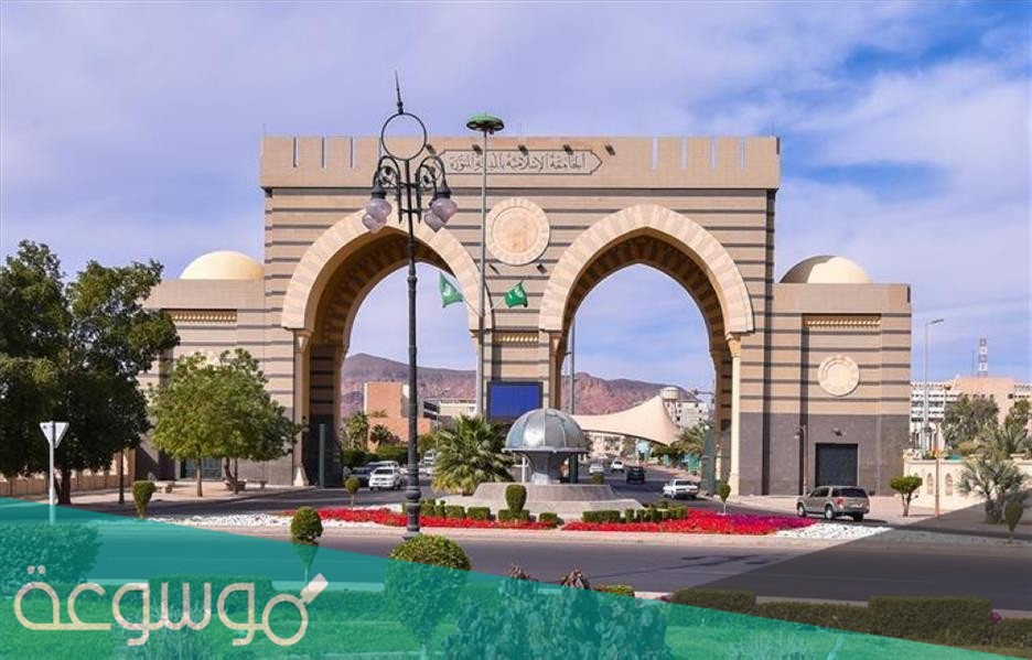 تخصصات الجامعة الإسلامية بالمدينة المنورة