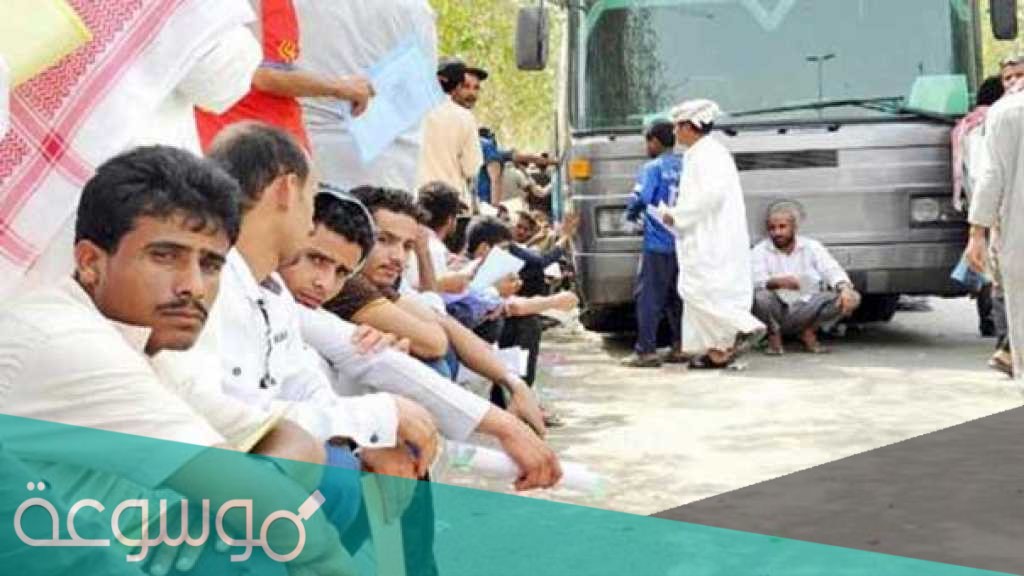 سبب منع اليمنيين من العمل في جازان