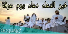 صحة حديث خير الدعاء دعاء يوم عرفة