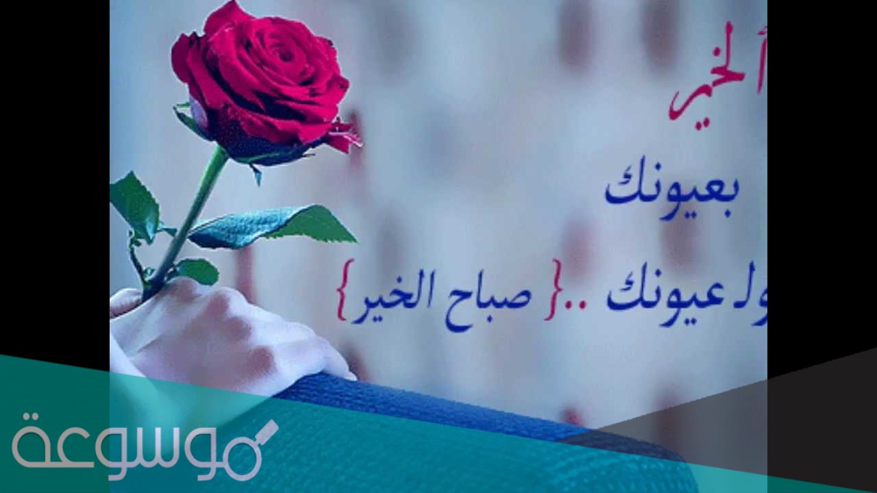 عبارات صباحية قصيرة 2021 .. أجمل كلمات عن الصباح رائعة