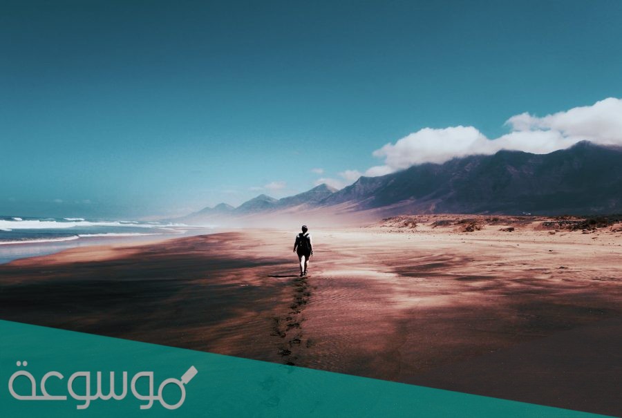 على من أطلق لقب سلطان الحكماء وسيد العلماء