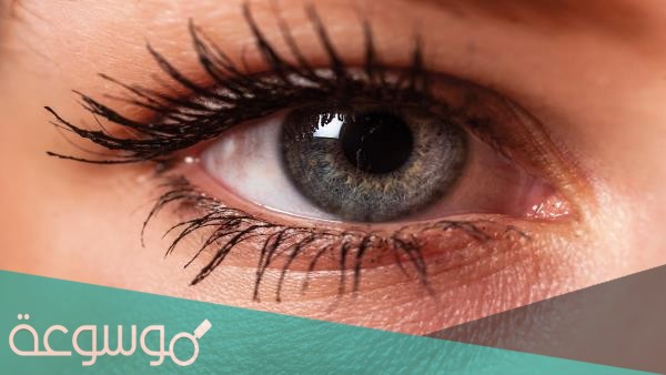 عيني اليسرى ترف وش معناها