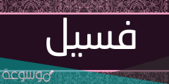 ما معنى كلمة الفسيل