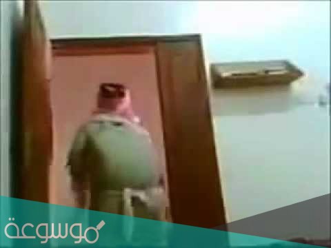 كلمات أغنية بطني عود وش كبره