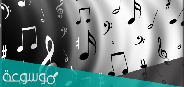 كلمات شيله عقب ما قضى حياته بالمهاد كاملة مكتوبة