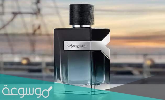 كم سعر عطر ايف سان لوران الجديد