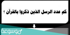 كم عدد الأنبياء والرسل الوارد ذكرهم في القرآن