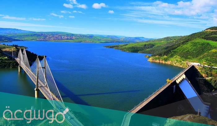 كم عدد السدود في الجزائر