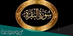 كم عدد صفحات سورة البقرة