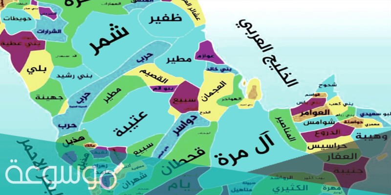 كم عدد قبيلة عتيبة في السعودية