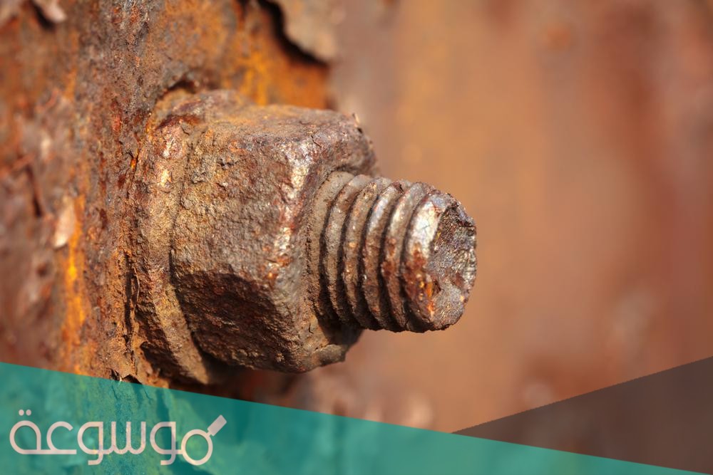 ما الاسم العلمي للصدا