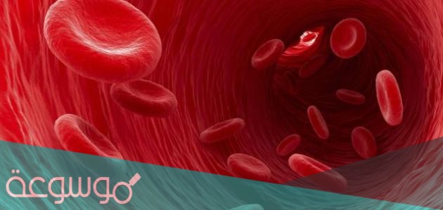 ما هو المصطلح العلمي لمرض سرطان الدم