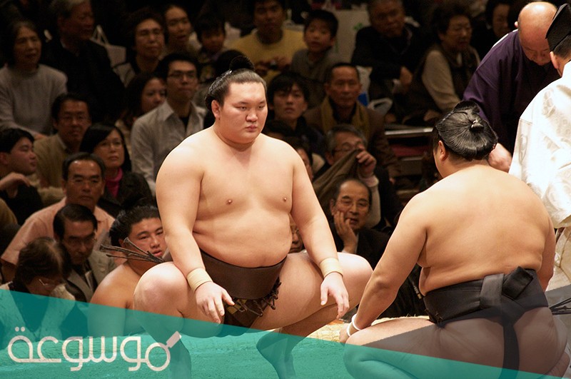 ما هي الرياضة الوطنية في اليابان