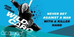 ما هي قصة فيلم wild card كاملة