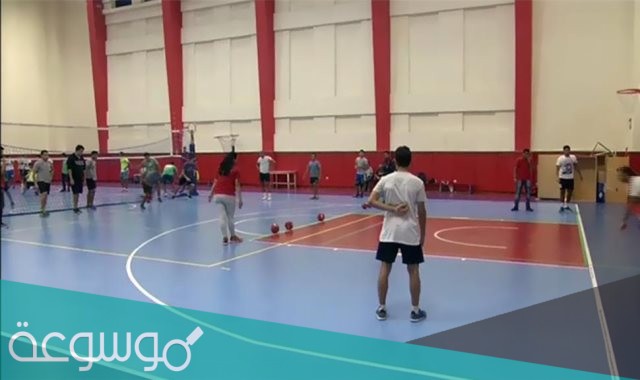 ما هي لعبة الدودج بول