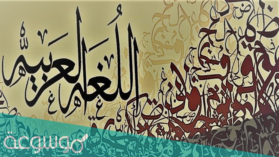 ماهو ضد كلمة تشاطر