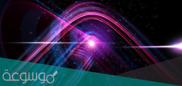 ماهي الحشرة التي تستطيع رؤية الأشعة فوق البنفسجية