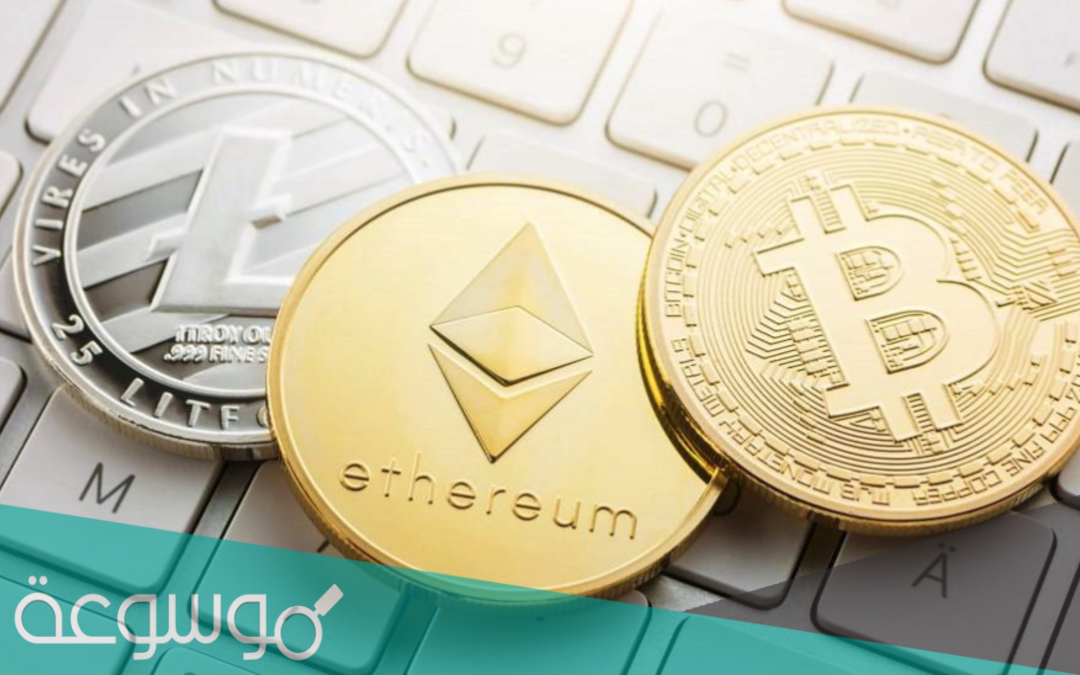 مكاسب المالية في منصة الاضواء