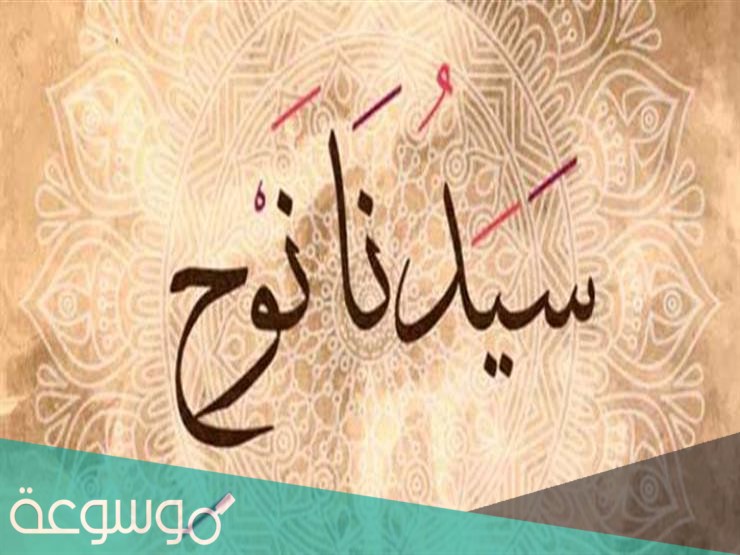 من هو النبي الملقب بشيخ المرسلين