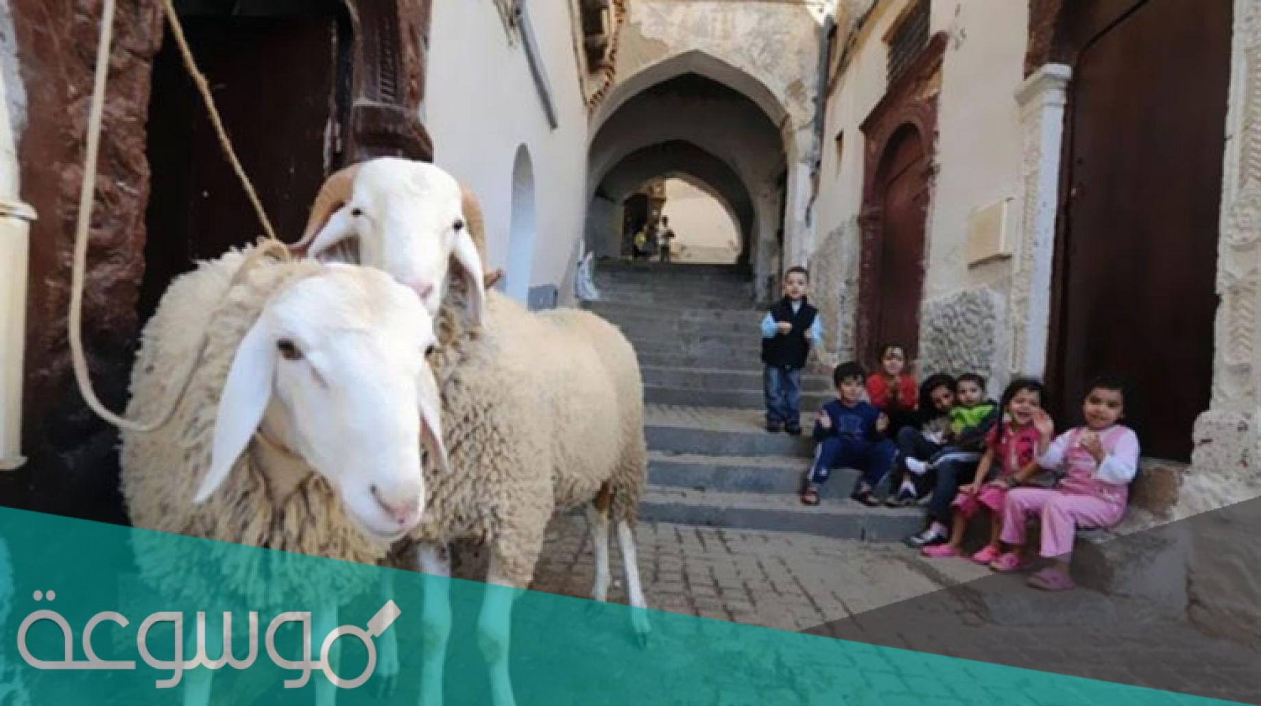 موعد عيد الأضحى 2021 في مصر اي ساعة