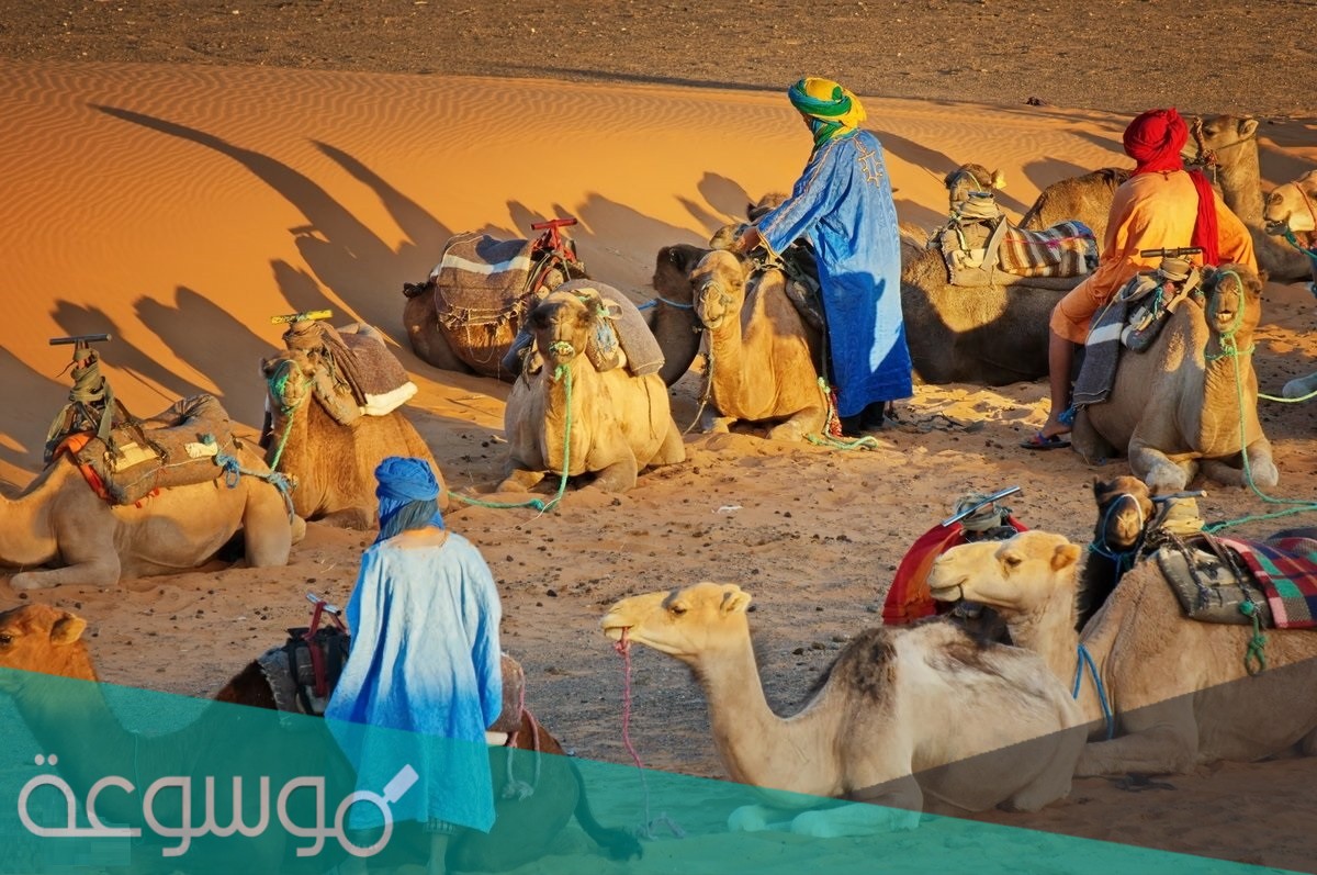العطوي وش يرجعون