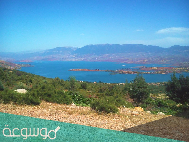 اين تقع قرية بين الويدان