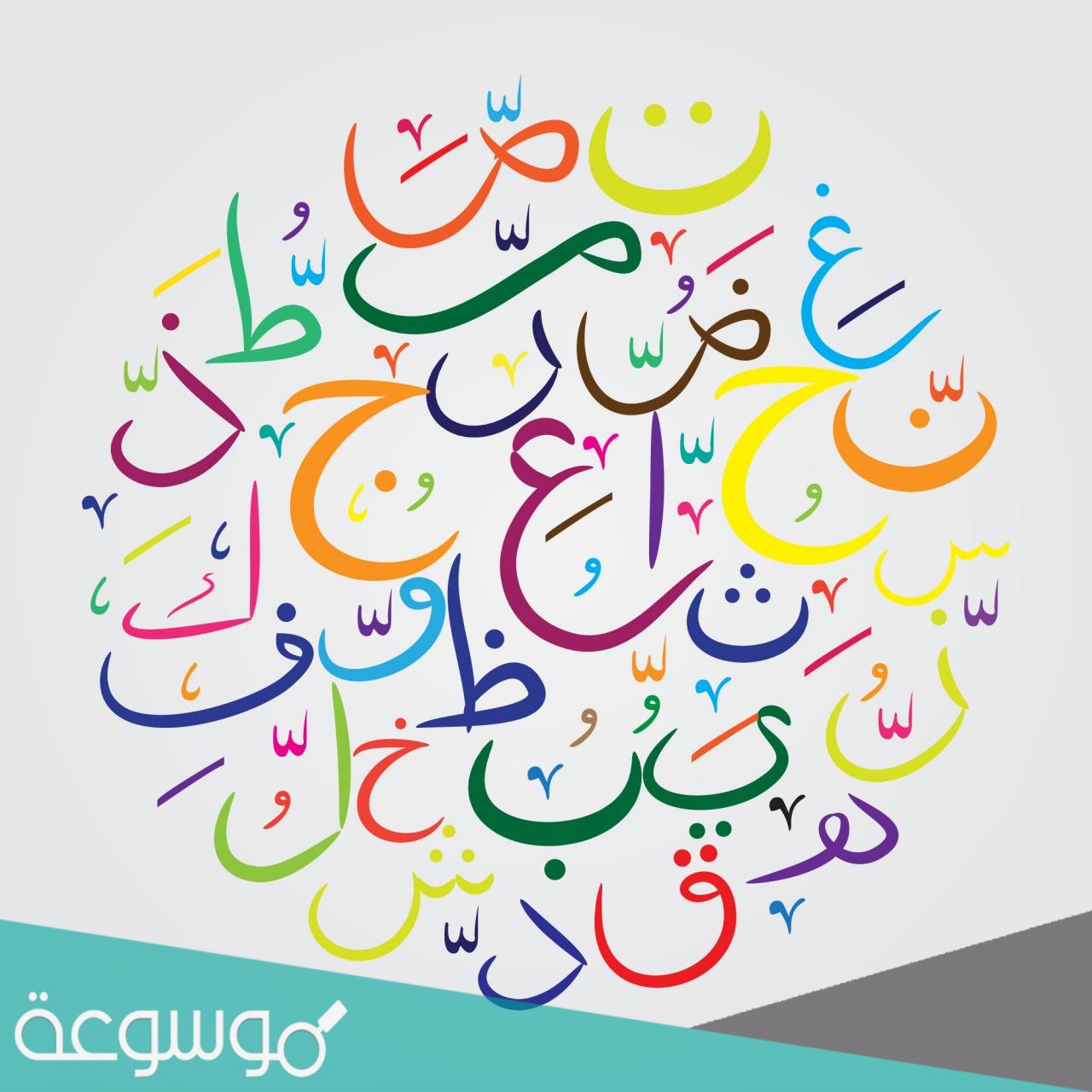 ما وزن كلمة سفرجل