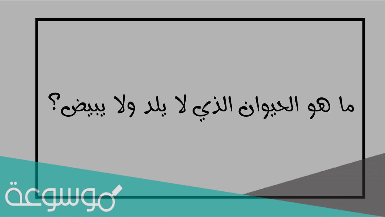 ما هو الحيوان الذي لا يلد ولا يبيض لغز 10 حروف