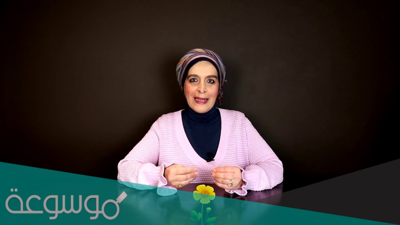 من هي مجد خلف ويكيبيديا