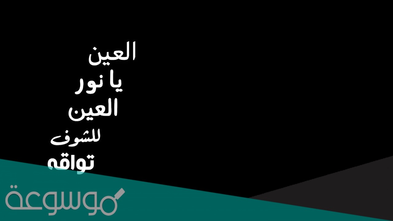 كلمات اغنية العين يا نور العين