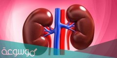 ماذا تسمى عملية غسل الكلى من 5 حروف