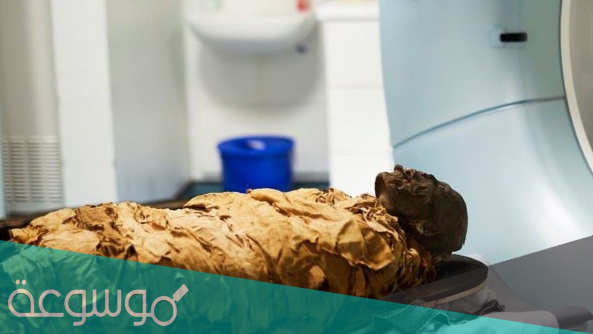 ما هي المومياء المصرية؟