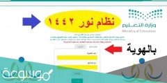 قائمة الروضات الأهلية والأجنبية المعتمدة في السعودية 1443