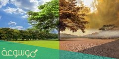 ما مدى خطورة الاحتباس الحراري